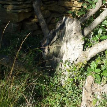 Photographie intitulée "HEPHAISTOS" par Francine Barbaray, Œuvre d'art originale