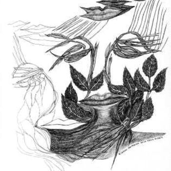 Σχέδιο με τίτλο "illustration du Dja…" από Sigrun Neumann (Sineu), Αυθεντικά έργα τέχνης