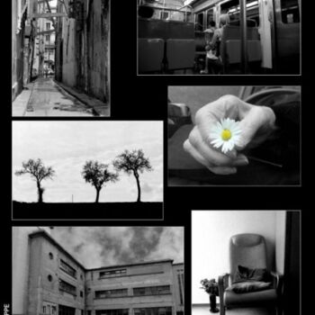 Fotografie mit dem Titel "MELIMELO 006" von Jean-Marc Philippe (Jimpy), Original-Kunstwerk