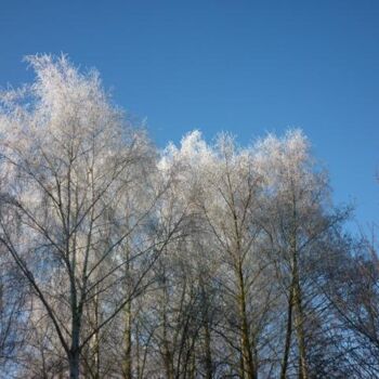 Φωτογραφία με τίτλο "Tor Winter Trees" από Xavier Crepin, Αυθεντικά έργα τέχνης