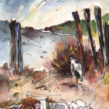 Painting titled "Albufera de Valenci…" by Miki De Goodaboom, Original Artwork, Oil