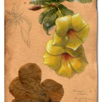 Peinture intitulée "Trompette d'or" par Florence Dellerie, Œuvre d'art originale, Autre