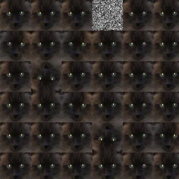 Digital Arts titled "Feline Rebellion" by Karl Donovan, Original Artwork