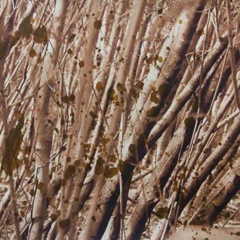 Photography titled "Earth Tone Undergro…" by Sio Montera, Original Artwork