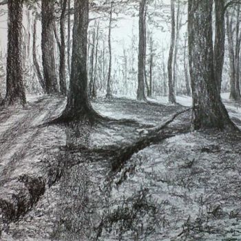 Dessin intitulée "D-F.A.-5." par Murielle Léger, Œuvre d'art originale, Autre