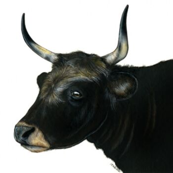 Peinture intitulée "Taureau de Camargue" par Florence Dellerie, Œuvre d'art originale, Huile