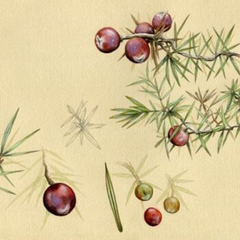 Peinture intitulée "Genévrier" par Florence Dellerie, Œuvre d'art originale, Huile