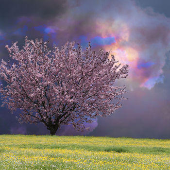 제목이 "Prunus en fleurs"인 디지털 아트 Max Parisot Du Lyaumont로, 원작, 포토 몽타주