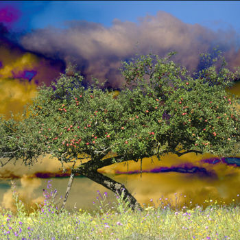 Digitale Kunst getiteld "Pommier en automne" door Max Parisot Du Lyaumont, Origineel Kunstwerk, Foto Montage
