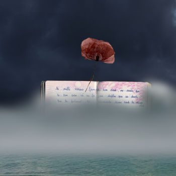 Digitale Kunst mit dem Titel "Illustration d'un p…" von Max Parisot Du Lyaumont, Original-Kunstwerk, Fotomontage