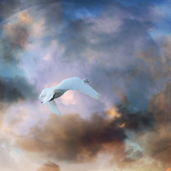Arts numériques intitulée "L'Oiseau Blanc" par Max Parisot Du Lyaumont, Œuvre d'art originale, Photo montage