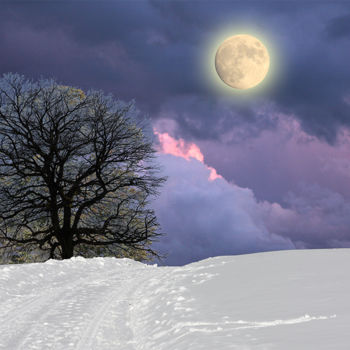 Arts numériques intitulée "Dans l'hiver se cac…" par Max Parisot Du Lyaumont, Œuvre d'art originale, Photo montage