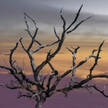 Arts numériques intitulée "Arbre désseché dans…" par Max Parisot Du Lyaumont, Œuvre d'art originale, Photo montage