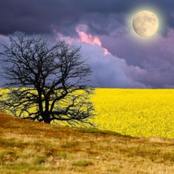 Digital Arts με τίτλο "Arbre noir" από Max Parisot Du Lyaumont, Αυθεντικά έργα τέχνης, Φωτογραφία Μοντάζ