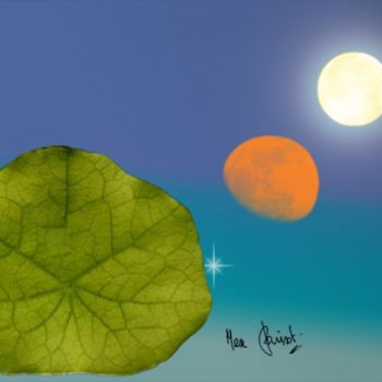 Digitale Kunst getiteld "Capucine" door Max Parisot Du Lyaumont, Origineel Kunstwerk, Foto Montage