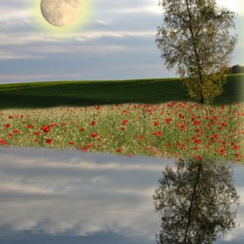 「Reflet dans l'eau」というタイトルのデジタルアーツ Max Parisot Du Lyaumontによって, オリジナルのアートワーク, 写真モンタージュ