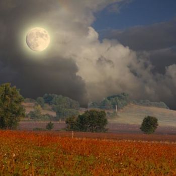 Digital Arts titled "Paysage rouge" by Max Parisot Du Lyaumont, Original Artwork, Photo Montage
