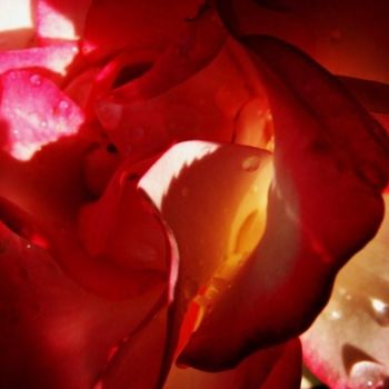 Fotografía titulada "Extract. Jard-Jarn…" por Marie-Pierre, Obra de arte original, Fotografía digital Montado en Otro panel…