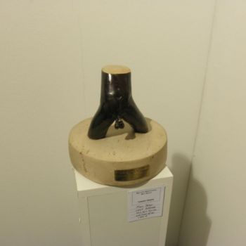 Sculpture titled "P2212955.jpg" by Catalin Geana, Original Artwork