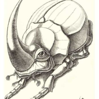 Drawing titled "Oryctes Nasicornis" by Victor Molev, Original Artwork, Other
