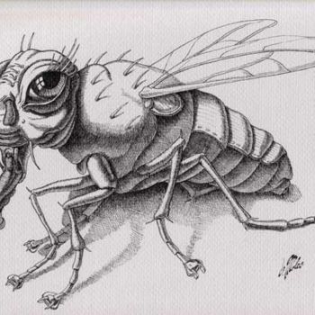 Drawing titled "The Fly" by Victor Molev, Original Artwork, Other