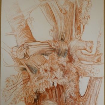 Drawing titled "Souche du jeune châ…" by Pierre Feyeux, Original Artwork, Other