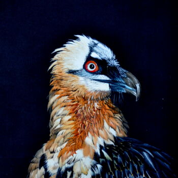 Painting titled "GYPAETE BARBU;" by Michel Michaux, Original Artwork, Oil