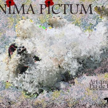Drawing titled "Colette, la Bichon." by Pia De Panicis, Original Artwork, Other