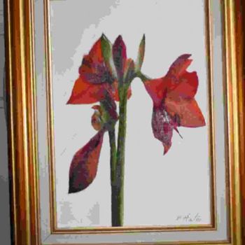 Painting titled "AMARYLLIS" by Bernard Halm, Original Artwork