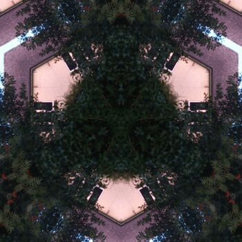 Installation titled "Big Brother-0083.jpg" by Xavier Crepin, Original Artwork, Exteriors