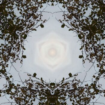 安装 标题为“Fractal Trees-0088.…” 由Xavier Crepin, 原创艺术品