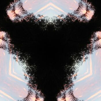 Installation titled "Swirz Spirit Fracta…" by Xavier Crepin, Original Artwork, Exteriors