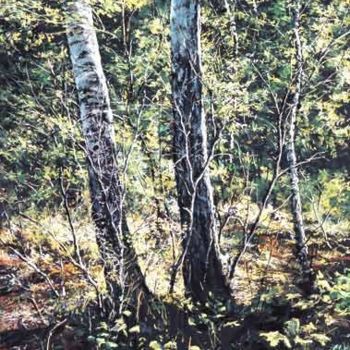 Painting titled "The birches" by Swiatecki Marek, Original Artwork, Oil