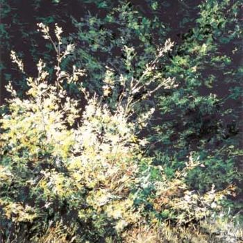Painting titled "Wild bush" by Swiatecki Marek, Original Artwork, Oil