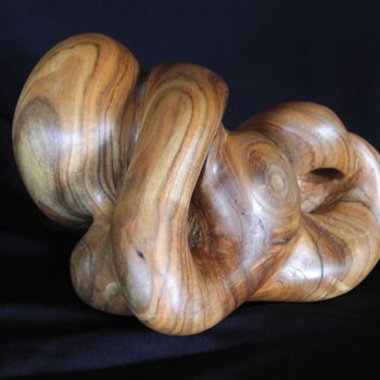 Sculpture titled "ENTRELACS 2" by Gérard Didier, Original Artwork, Wood