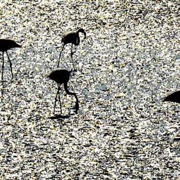 Photographie intitulée "Flamands roses en c…" par Alain Brasseur, Œuvre d'art originale