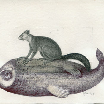 "Le Aye-aye" başlıklı Resim Patrick Jannin tarafından, Orijinal sanat, Diğer