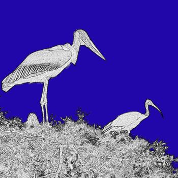 Photography titled "blueprint #1: blue…" by Ricopic, Original Artwork