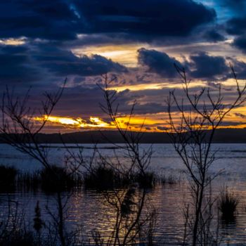 Photographie intitulée "Les-bords-du-canal-…" par Thierry Magliulo (Th.Mag), Œuvre d'art originale