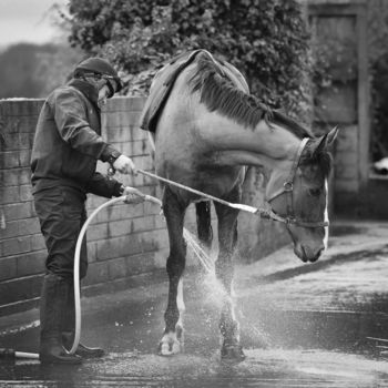 Photography titled "'Faugheen takes Sho…" by Art Photos, Original Artwork, Digital Photography