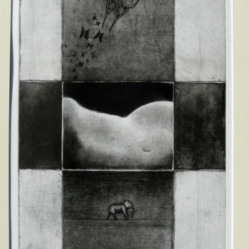 Dessin intitulée "Papillons noirs" par François Crinel, Œuvre d'art originale, Autre