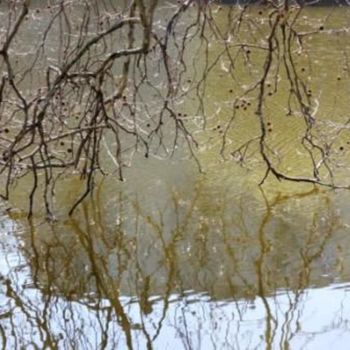 「Berlin : Lietzensee…」というタイトルの写真撮影 Sigrun Neumann (Sineu)によって, オリジナルのアートワーク