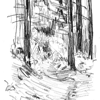 Drawing titled "sous-bois-2.jpg" by Bob Clement, Original Artwork