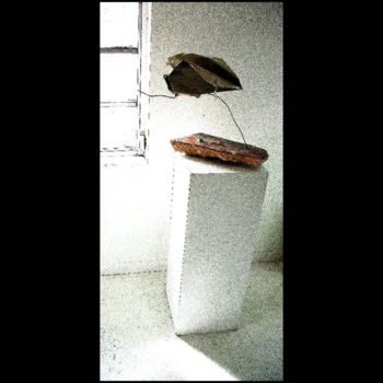 Ζωγραφική με τίτλο "9-2008-flight-of-th…" από Steve Beck, Αυθεντικά έργα τέχνης