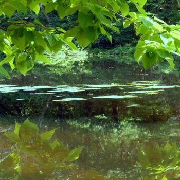 Photography titled "NJ Blueleaves" by Angelo Di Pietrantonio, Original Artwork