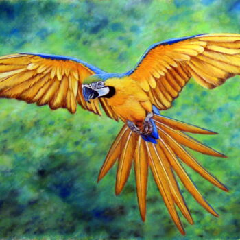 Peinture intitulée "Ararauna" par Michel Guillet, Œuvre d'art originale