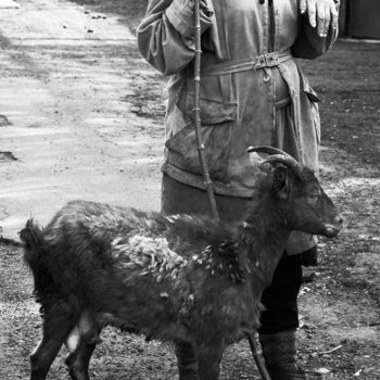 Photography titled "goat" by Bubon, Original Artwork, Other