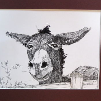 Drawing titled "hugo the donkey" by Em Bryant, Original Artwork, Ink