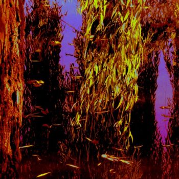 Photographie intitulée "zum licht hin .....…" par Sigrun Neumann (Sineu), Œuvre d'art originale
