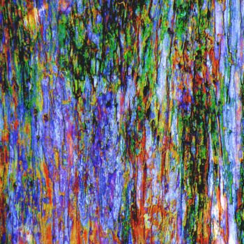Photography titled "arbre-en-fleurs.jpg" by Jean Marc Sparagna, Original Artwork, Manipulated Photography